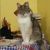 Отзыв от Марина Акимова